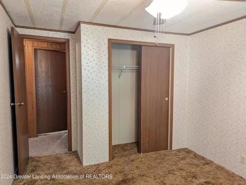 221 Burgess St, Lyons, MI 48851 photo 30