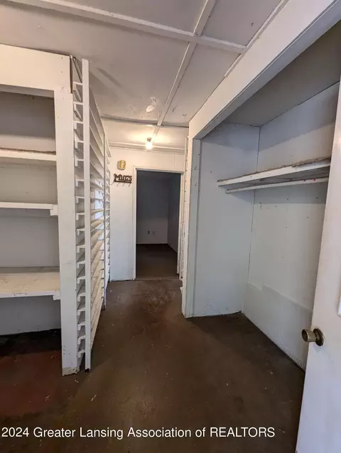 221 Burgess St, Lyons, MI 48851 photo 36