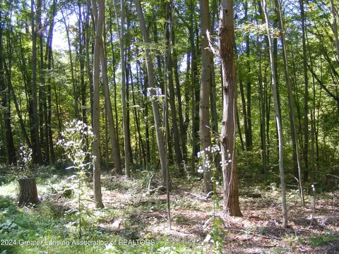 11511 Edgewood Rd, Bellevue, MI 49021