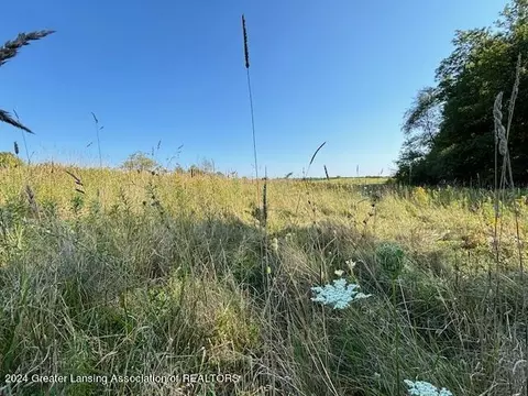 V/l Brown Road, Vermontville, MI 49096
