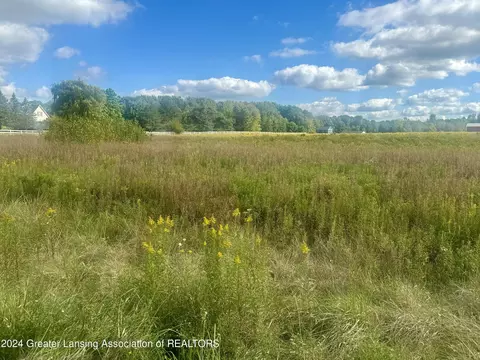 0 Bell Oak Rd, Williamston, MI 48895 photo 8