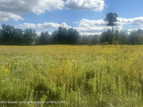 0 Bell Oak Rd, Williamston, MI 48895 photo 2