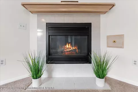 Other - 1246 Keusch Dr, Dewitt, MI 48820 photo 5 of 14