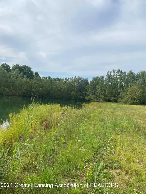 Undisclosed, Dansville, MI 48819