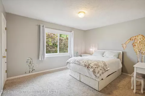 1102 Wolf Run Dr, Lansing, MI 48917 photo 22