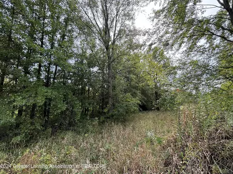0 E Garfield Rd, Ashley, MI 48806 photo 9