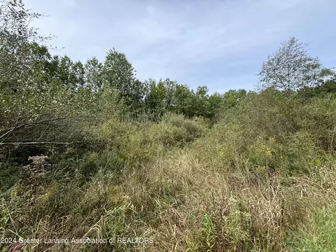 0 E Garfield Rd, Ashley, MI 48806 photo 6