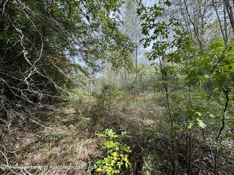 0 E Garfield Rd, Ashley, MI 48806 photo 12