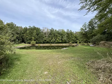 0 E Garfield Rd, Ashley, MI 48806 photo 7