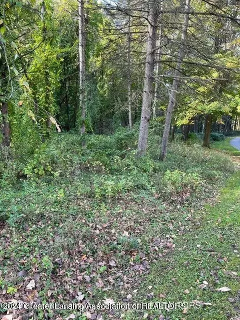 0 Pine Tree Ln, Lansing, MI 48911 photo 2
