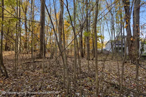 0 Williamsburg Rd, Lansing, MI 48917 photo 17