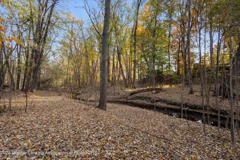 0 Williamsburg Rd, Lansing, MI 48917 photo 4