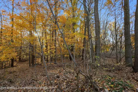 0 Williamsburg Rd, Lansing, MI 48917 photo 8