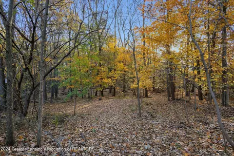 0 Williamsburg Rd, Lansing, MI 48917 photo 6