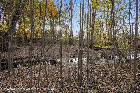 0 Williamsburg Rd, Lansing, MI 48917 photo 5