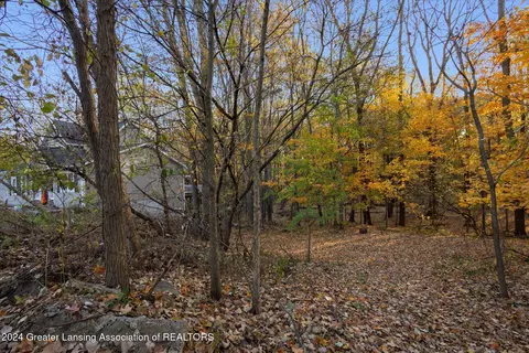 0 Williamsburg Rd, Lansing, MI 48917 photo 7