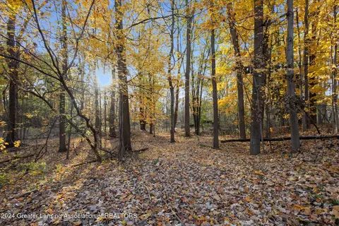 0 Williamsburg Rd, Lansing, MI 48917 photo 9