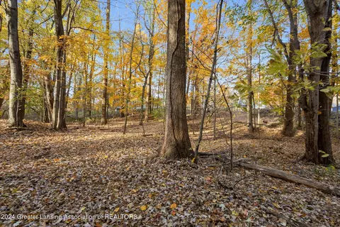 0 Williamsburg Rd, Lansing, MI 48917 photo 13