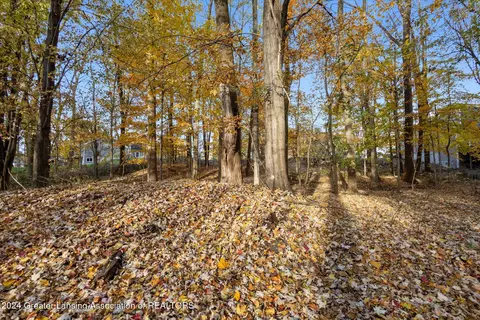 0 Williamsburg Rd, Lansing, MI 48917 photo 11
