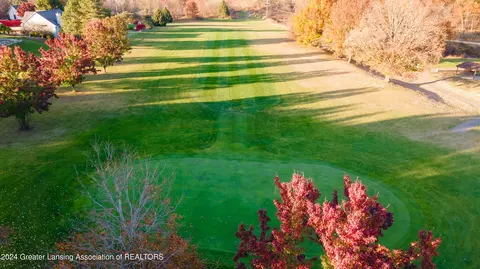 View/Area - 407 E Herbison Dr, Dewitt, MI 48820 photo 2 of 3