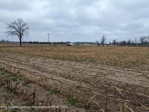 0 E Kimball Rd, Pewamo, MI 48873