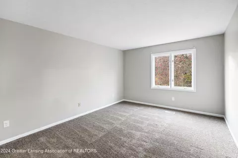 6727 Spring Tree Ln, Lansing, MI 48917 photo 19