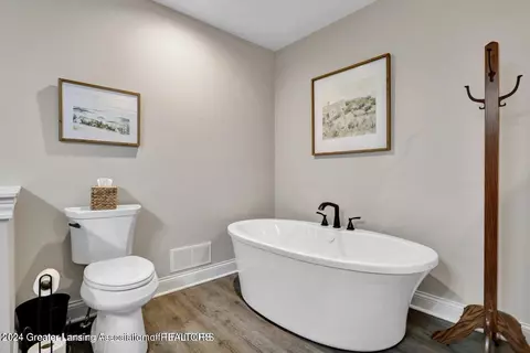 225 S Bridge St, Dewitt, MI 48820 photo 16