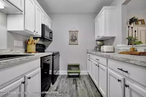 225 S Bridge St, Dewitt, MI 48820 photo 4