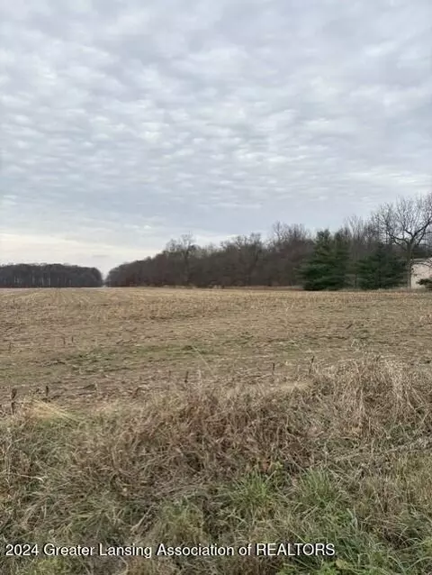 0 Covert Rd, Leslie, MI 49251 photo 13