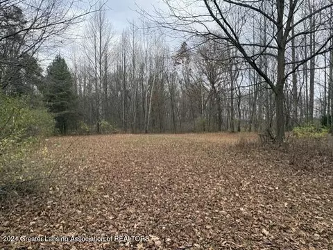 0 Covert Rd, Leslie, MI 49251 photo 9