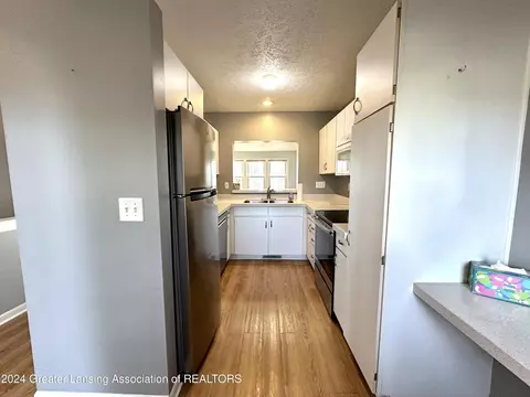 1132 Riverview Ct #3, Williamston, MI 48895 photo 11