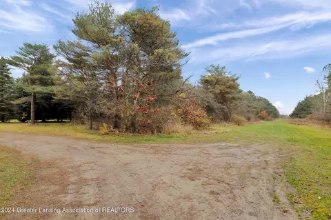 11423 Wood Rd, Dewitt, MI 48820 photo 31