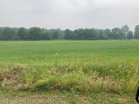 0 Birchridge Parcel E Dr, Charlotte, MI 48813