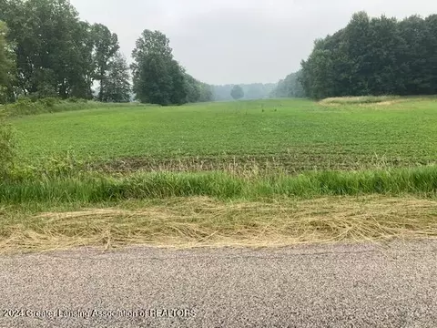 0 Birchridge Parcel G Dr, Charlotte, MI 48813