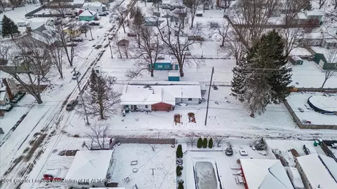 View/Area - 110 W Willow St, Perry, MI 48872 photo 3 of 7