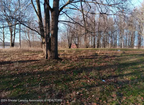 Other - 4206 Hydon Rd, Olivet, MI 49076 photo 7 of 8