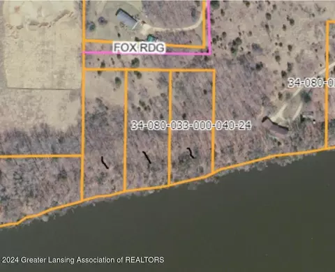 0 Peckins Rd, Lyons, MI 48851 photo 2