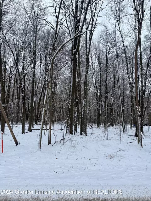 0 Willoughby Rd, Mason, MI 48854