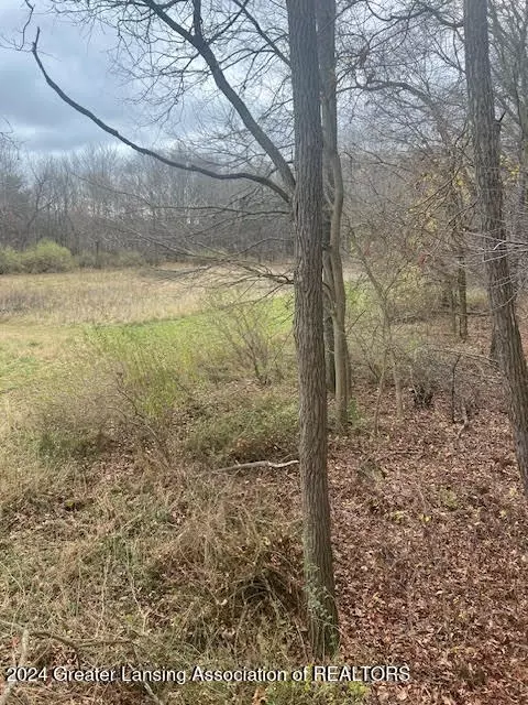 Other - 1798 E Maple Rapids Rd, Saint Johns, MI 48879 photo 33 of 33