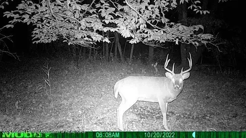 Other - 1798 E Maple Rapids Rd, Saint Johns, MI 48879 photo 31 of 33