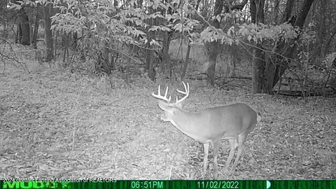 Other - 1798 E Maple Rapids Rd, Saint Johns, MI 48879 photo 30 of 33