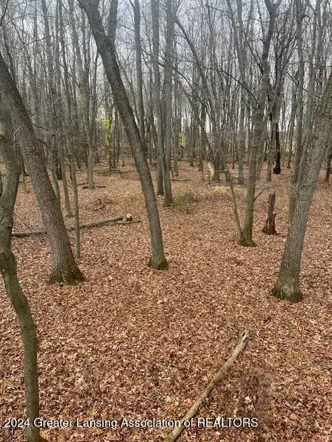 Other - 1798 E Maple Rapids Rd, Saint Johns, MI 48879 photo 32 of 33
