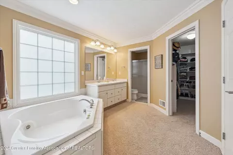 Other - 12742 Ospreys Way, Dewitt, MI 48820 photo 6 of 20
