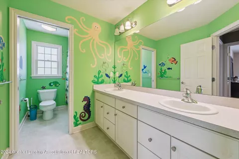 Bath - 12742 Ospreys Way, Dewitt, MI 48820 photo 2 of 2