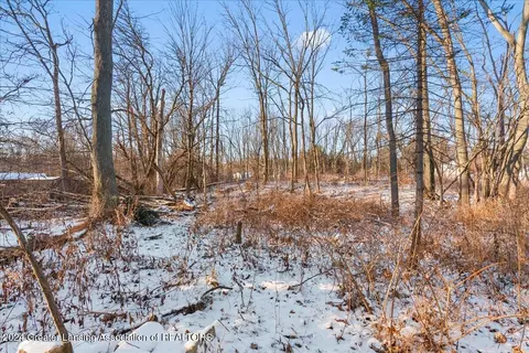Vl Walker, Lansing, MI 48906 photo 5