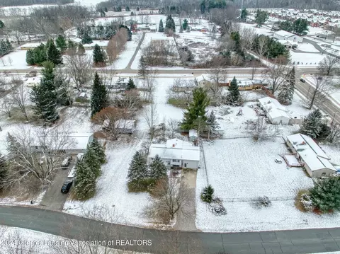 View/Area - 3325 Luroma Dr, Dewitt, MI 48820 photo 1 of 9