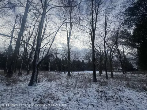 0 Hiddenview Ln, Williamston, MI 48895 photo 9