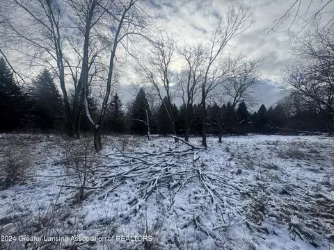0 Hiddenview Ln, Williamston, MI 48895 photo 10