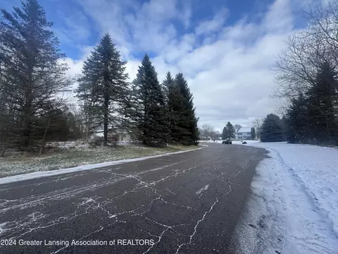 0 Hiddenview Ln, Williamston, MI 48895 photo 2