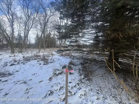 0 Hiddenview Ln, Williamston, MI 48895 photo 5